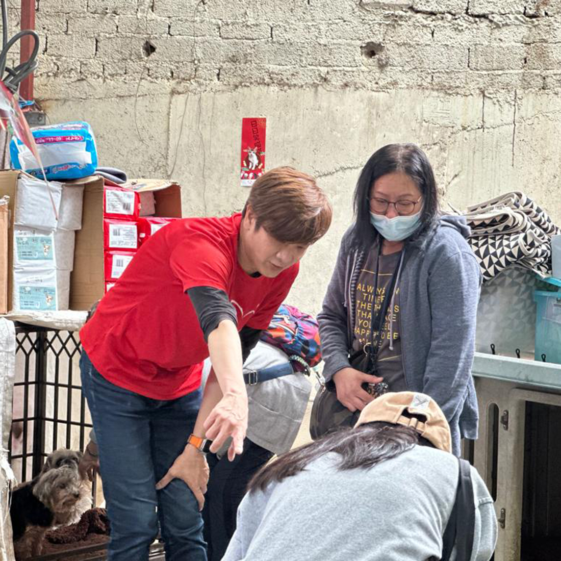 guidance volunteer dog shelter