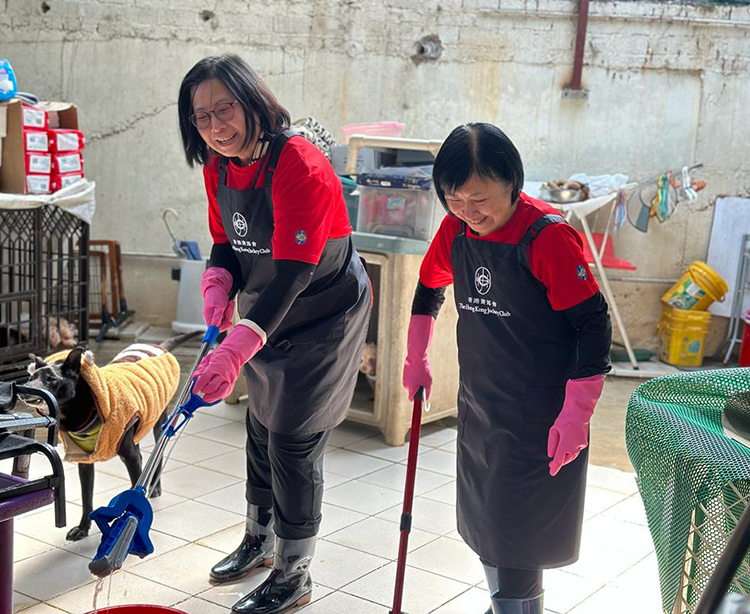 volunteers cleaning kennels