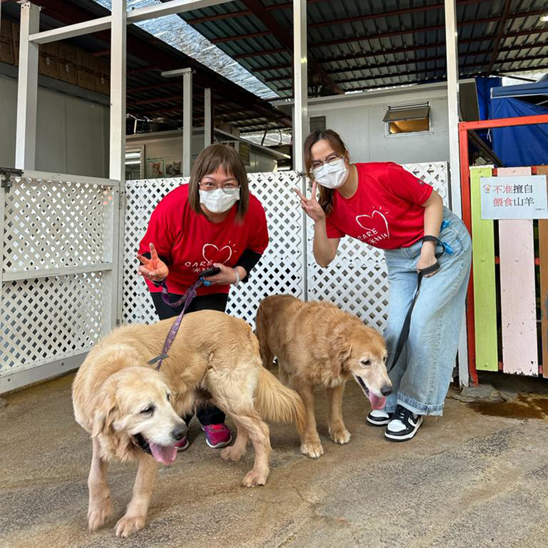 volunteers dog shelter happy