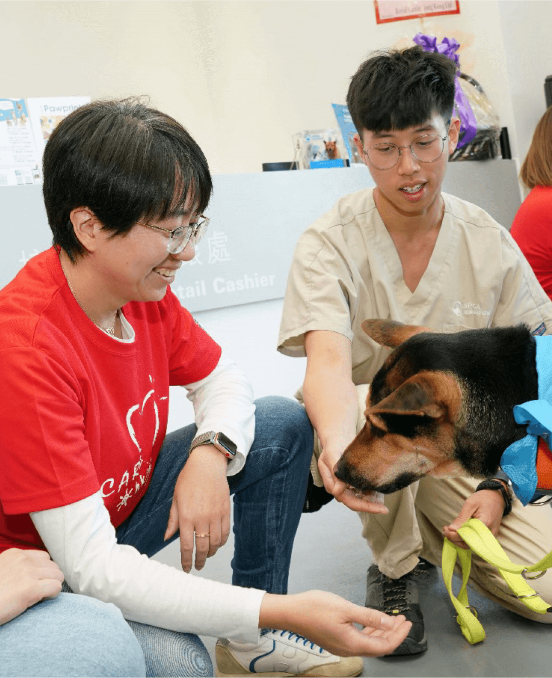 SPCA dog volunteer care