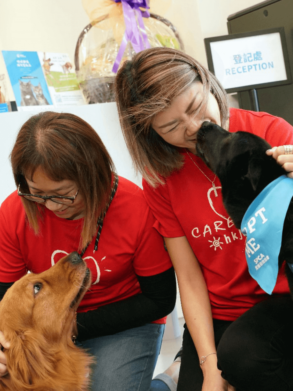 SPCA dog care team with volunteer