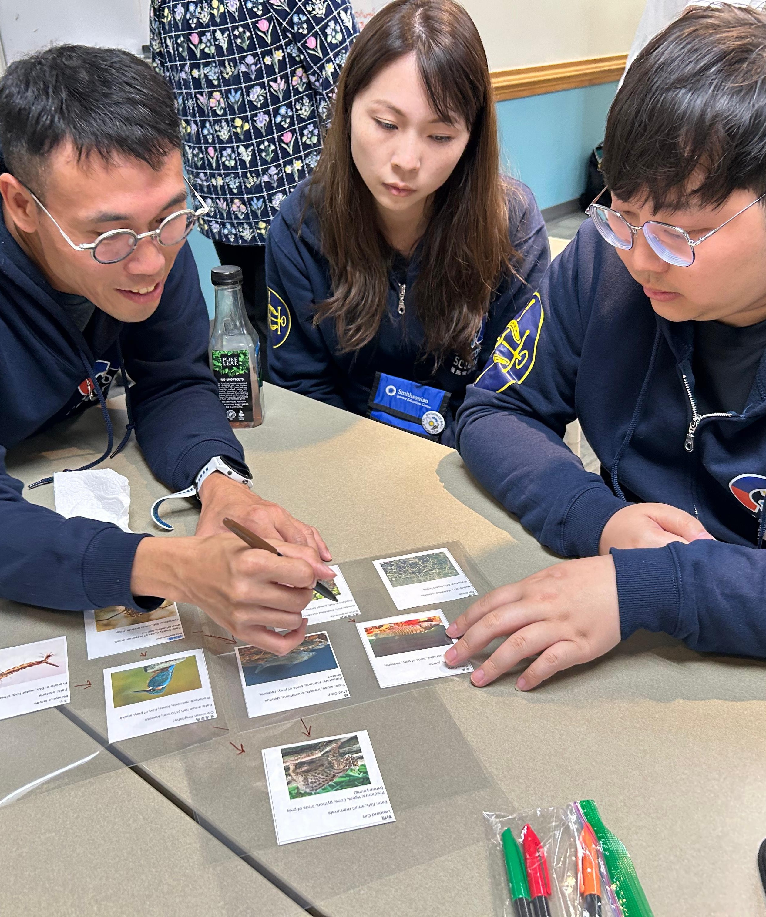 During the "Advanced Teacher Fellowship" training, Ms. Yuen and fellow teachers collaborate on an activity with picture cards to exploring innovative approaches to science teaching.