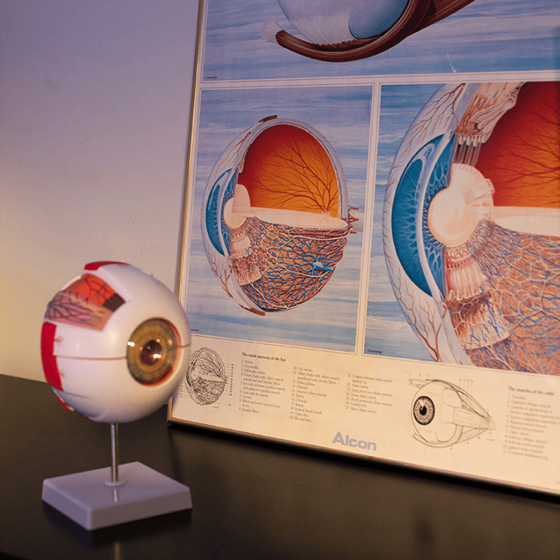 cuhk jc eyecare expert