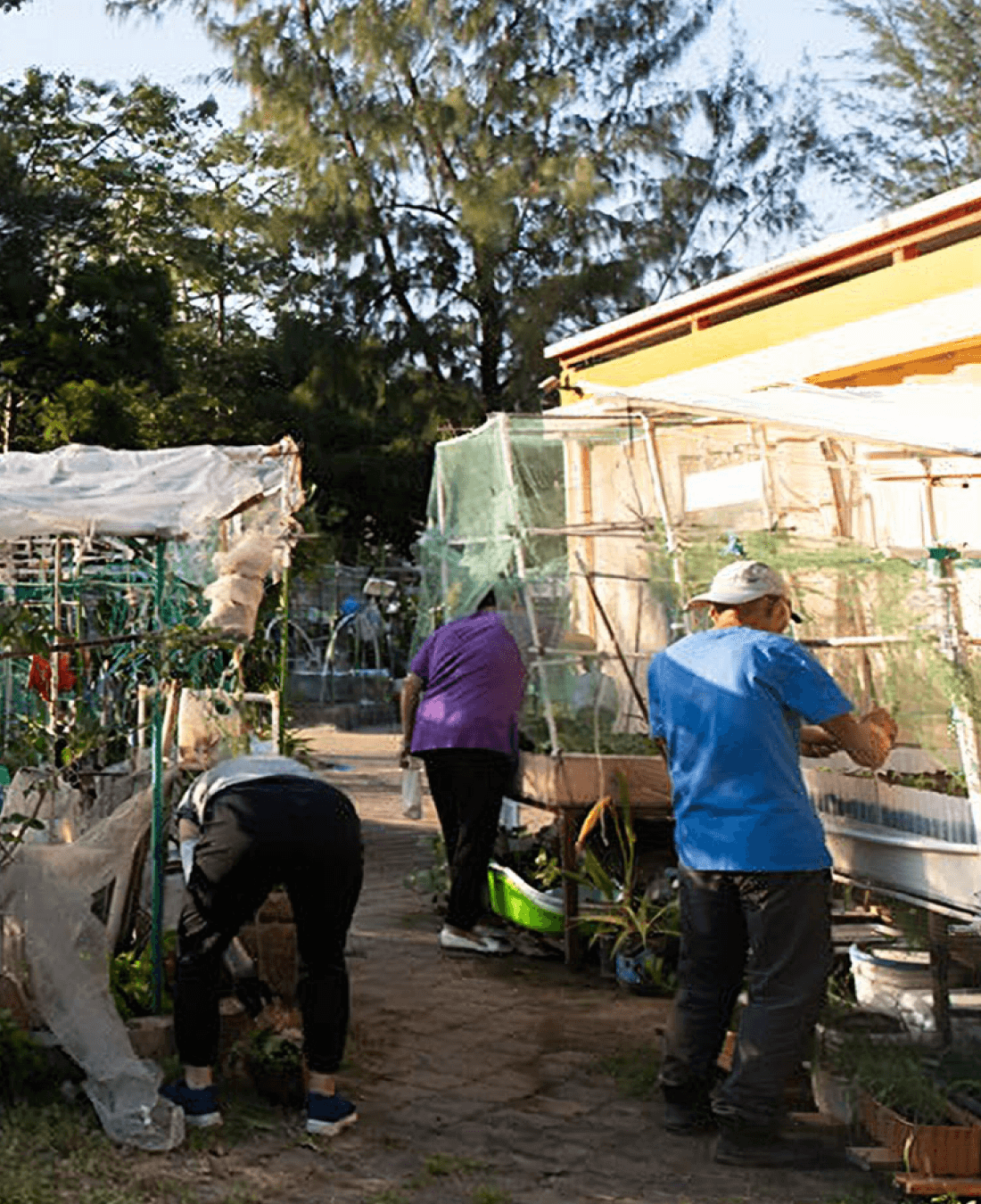 hk auxiliary professional scheme volunteers